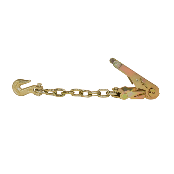 Ratchet w/ 18" Chain Extension & Clevis Grab Hook for 2" webbing